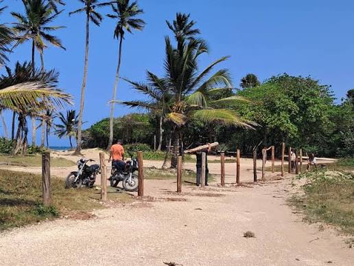 Inversionista da cumplimiento a sentencias judiciales con colocación de pilotillos en terrenos de Playa Encuentro