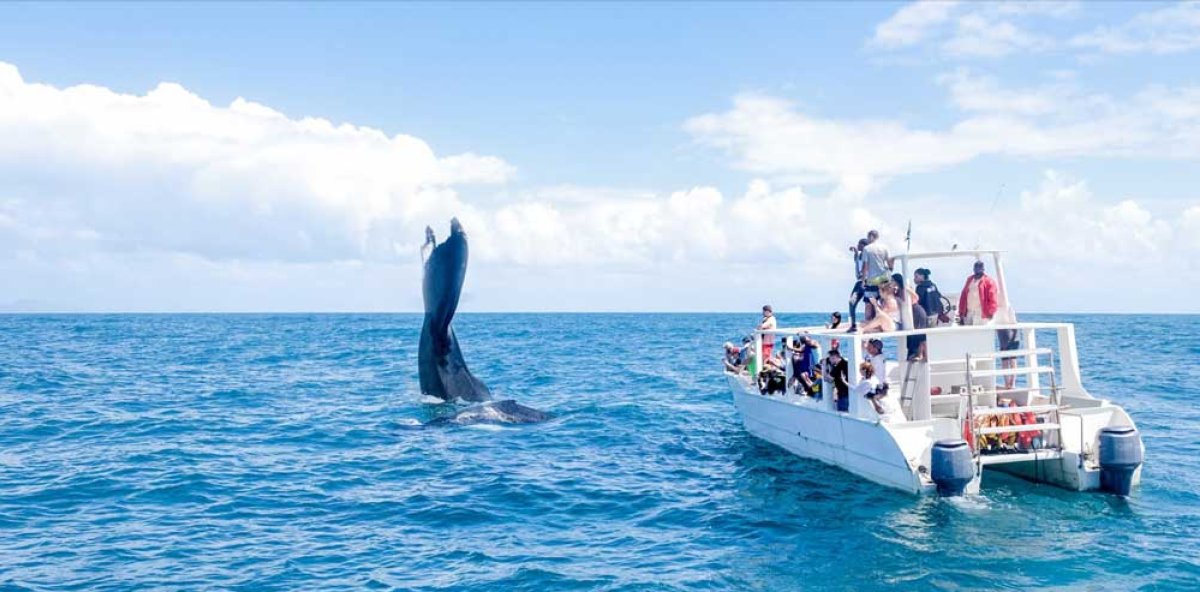 Samana